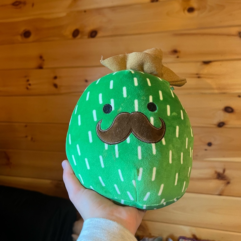 green squishmallow